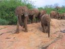 kinna & galana leads in crossing a huge rock.jpg