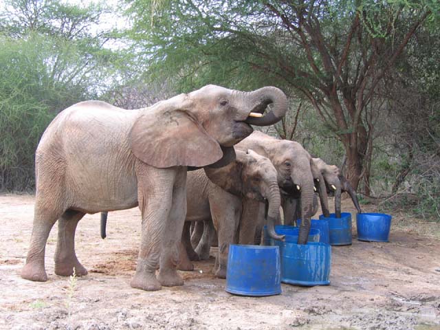 drinking water.jpg