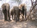 Nasalot, Selengai & Kinna relaxing.