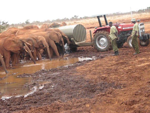 Filling the water hole (1).jpg