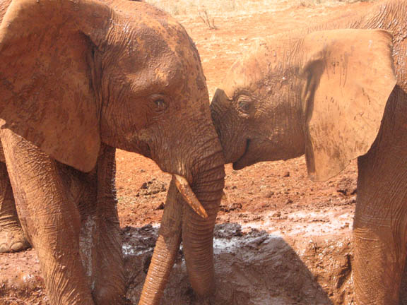 Laikipia & Salama