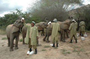 032007ithumba.jpg