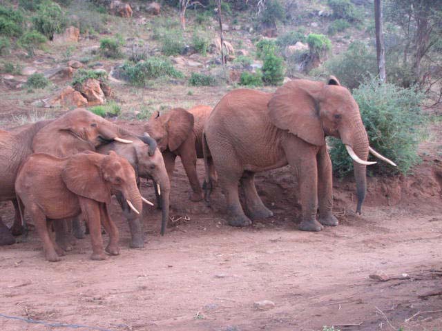 aitong-holds-sally-as-mweiga-watches-jealously-with-aitongs-boyfriend-standing-proud-with-the-group.jpg