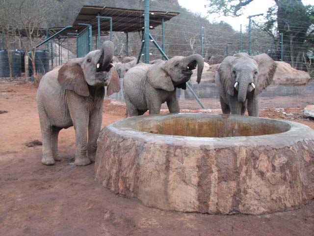 Kenze,Loijok und Rapsu
