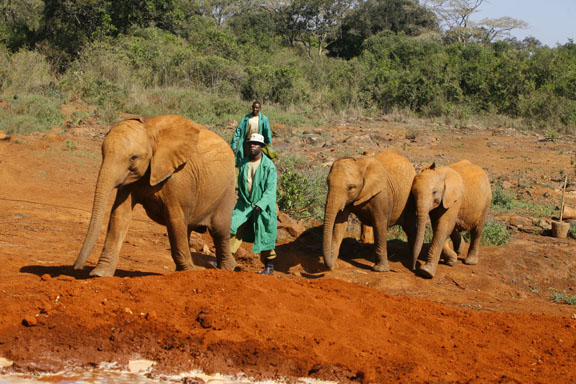Makena, Lenana und Chyulu
