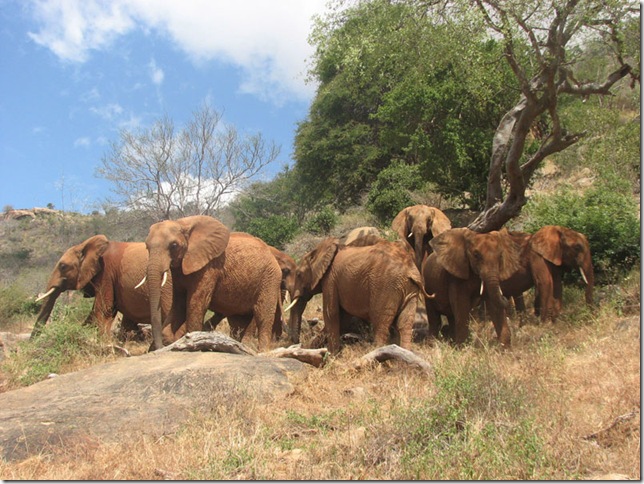 Natumi & her group in Voi