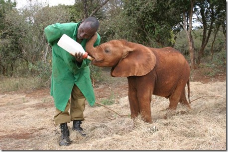 Taveta