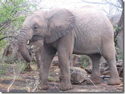 Chyulu 