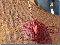 The arrow is removed from Natumi
