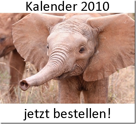 kal2010