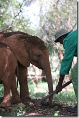 Kibo having a soil bath