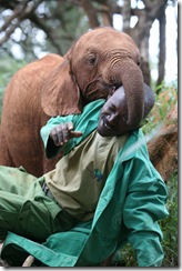 Tano playing with Mutua