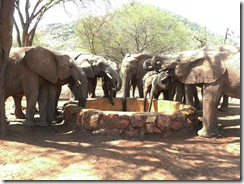 both ex orphans & orphans drinking water (2)