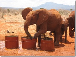 Lempaute drinking water