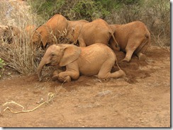 Kenia is down playing (3)