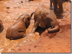 Wesesa rght & Tasia playing (1)
