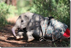 Naipoki IMG_1170 (15)