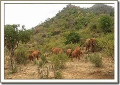 Laikipia und die Waisen
