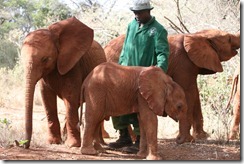 Mutara next to her favourite baby, Naipoki IMG_0231