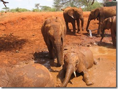 Wesesa standng join Taveta & Shimba (1)