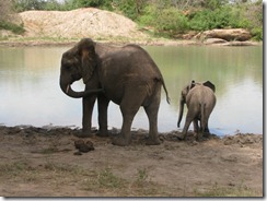 wendi & ithumbah drinking water
