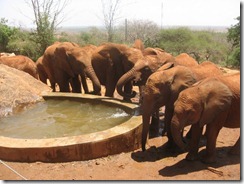 Drinking water (1)