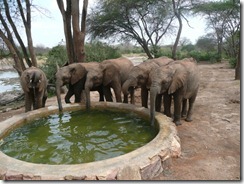 sabachi, chaimu, tumaren, suguta & melia taking water