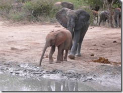ithumbah & wendi (4)