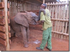 Emsaya getting her milk bottle (8)