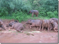 orphans playing with rain water (10)