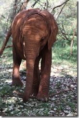 Ishanga IMG_2403