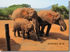 Eve lft Sally & Mweya