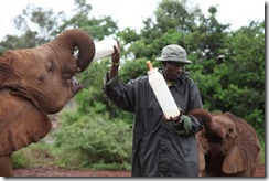 Ishanga drinking and Ishaq B checking for milk IMG_6768 (1)