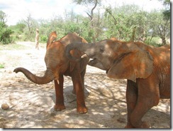 naisula & kilaguni
