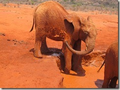 Lesanju splashing out