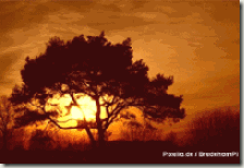 clip_image003