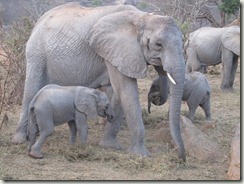 mwende, mulika & yetu
