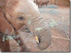 kenia2012trip_page3_image1