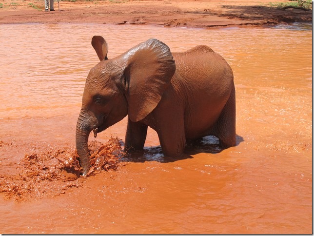 Kenia playing in water (2)