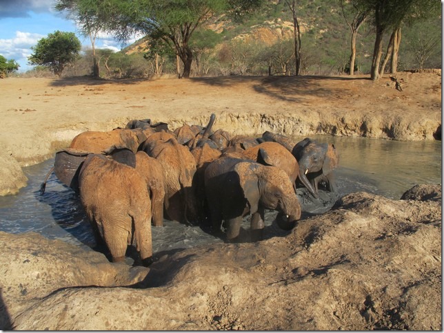 evening mud bath (2)