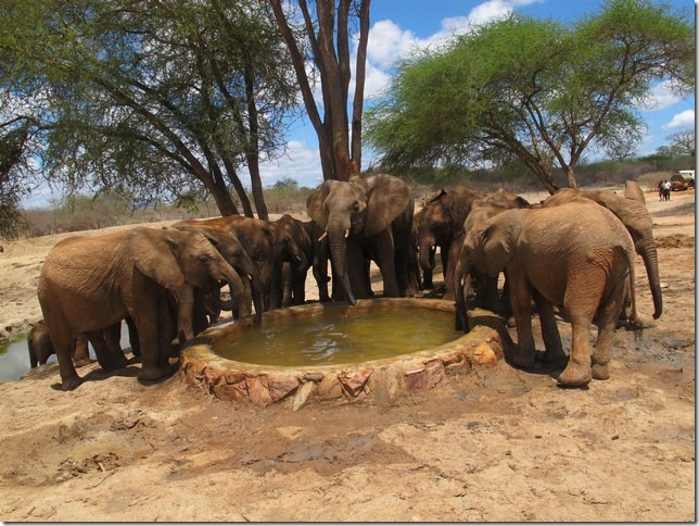 lualeni joins the orphans