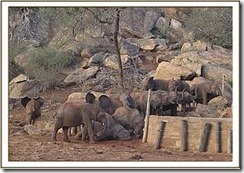 ithumba1
