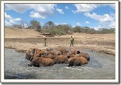 ithumba2