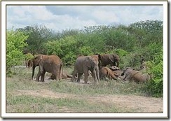 ithumba3