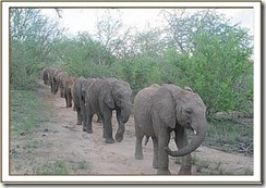 ithumba4