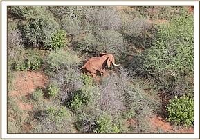 bulle_ithumba_1