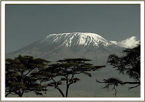 amboseli_1