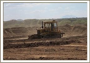 amboseli_11