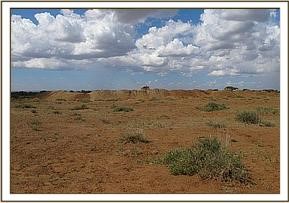 amboseli_12