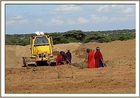 amboseli_13